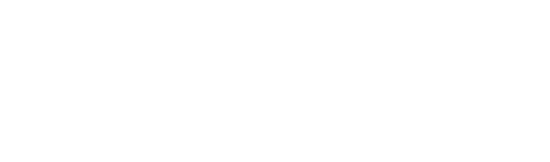 Logo Lumibird Medical white