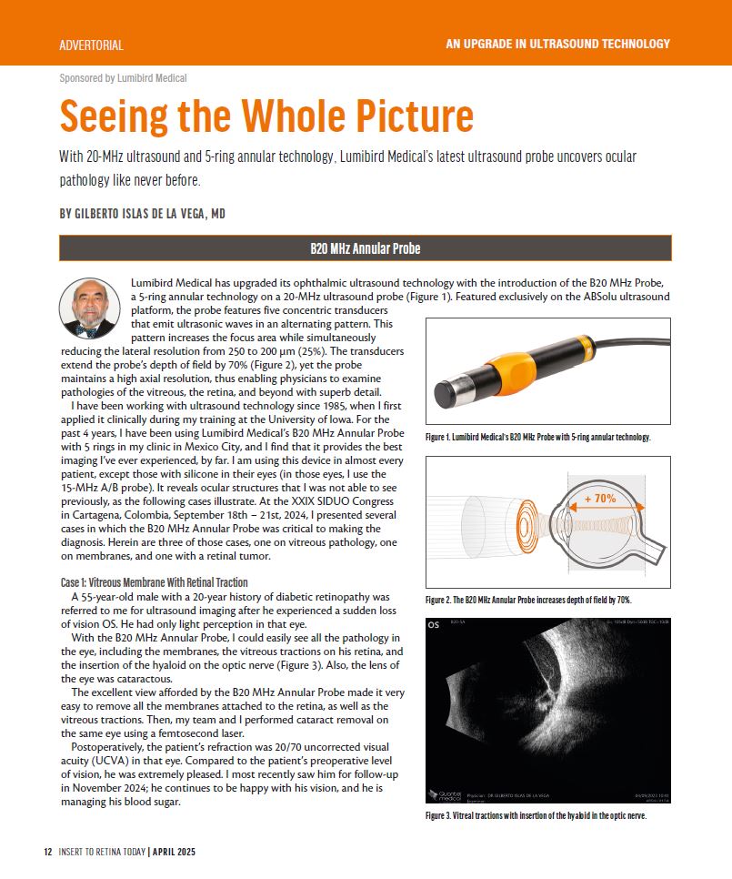seing the whole picture dr islas article
